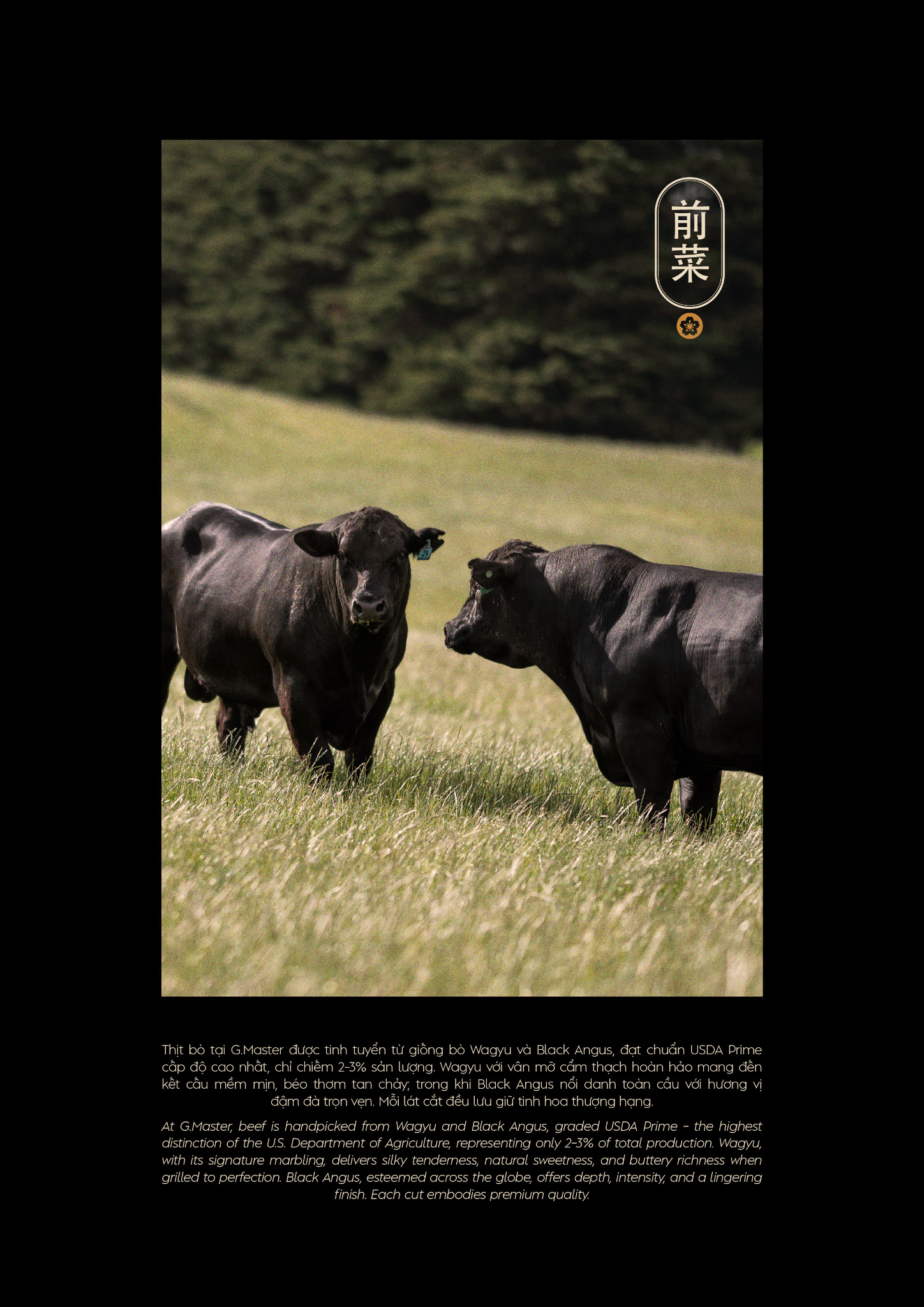 Thịt Bò - Hình 1